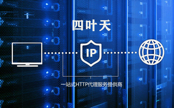 【伊春代理IP】代理IP的主要用途和使用注意事项